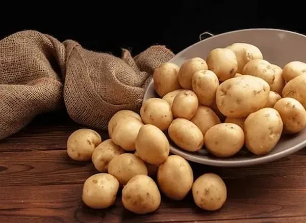 سیب زمینی نیمه آماده فله + بهترین قیمت خرید